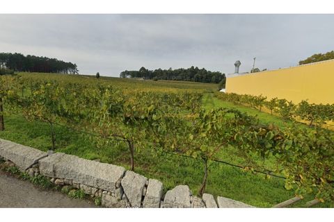 Helårsgrund i Moncao, Viana do Castelo, Moncao - € 493.500 | Ref: REF430 - foto 2