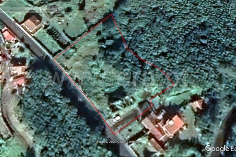 Villa a Horta, Faial, Horta - € 89.500 | Ref: 374240314 - foto 18