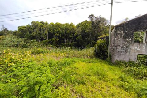 Villa a Horta, Faial, Horta - € 89.500 | Ref: 374240314 - foto 22