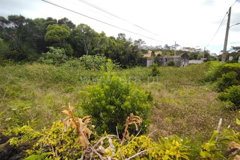 Villa a Horta, Faial, Horta - € 89.500 | Ref: 374240314 - foto 28