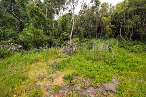 Villa a Horta, Faial, Horta - € 89.500 | Ref: 374240314 - foto 38