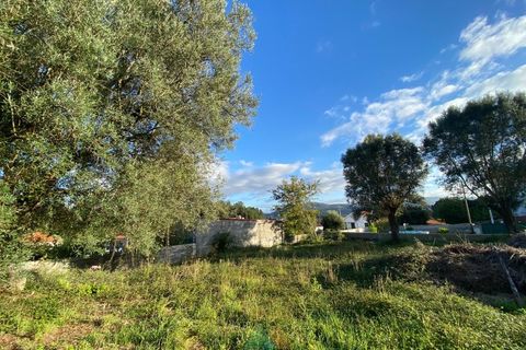 Villa i Ponte de Lima, Viana do Castelo, Ponte de Lima - € 110.000 | Ref: PTL-001-063 - foto 10