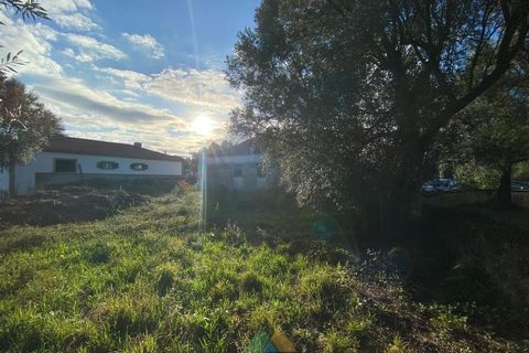 Villa i Ponte de Lima, Viana do Castelo, Ponte de Lima - € 110.000 | Ref: PTL-001-063 - foto 12
