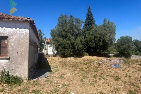 Villa i Ponte de Lima, Viana do Castelo, Ponte de Lima - € 110.000 | Ref: PTL-001-063 - foto 6