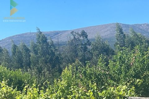 Villa i Ponte de Lima, Viana do Castelo, Ponte de Lima - € 110.000 | Ref: PTL-001-063 - foto 14