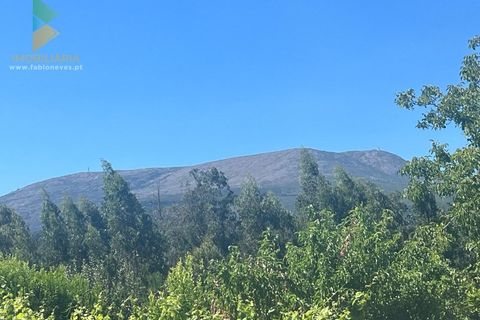 Villa i Ponte de Lima, Viana do Castelo, Ponte de Lima - € 110.000 | Ref: PTL-001-063 - foto 15