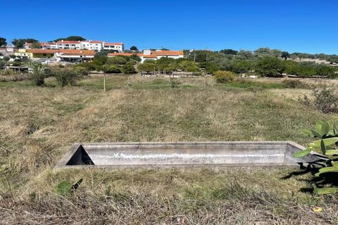 Helårsgrund i Mora, Evora, Mora - € 42.000 | Ref: OLIR0020 - foto 3