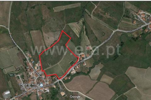 Helårsgrund i Torres Vedras, Lisbon, Torres Vedras - € 185.000 | Ref: 295180211 - foto 5