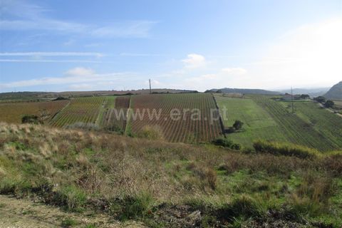 Helårsgrund i Torres Vedras, Lisbon, Torres Vedras - € 25.000 | Ref: 295180263 - foto 1