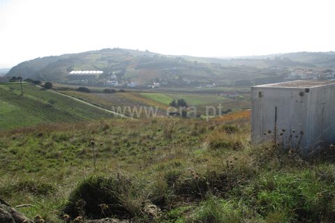 Helårsgrund i Torres Vedras, Lisbon, Torres Vedras - € 25.000 | Ref: 295180263 - foto 2