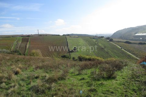 Helårsgrund i Torres Vedras, Lisbon, Torres Vedras - € 25.000 | Ref: 295180263 - foto 4