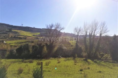 Helårsgrund i Torres Vedras, Lisbon, Torres Vedras - € 25.500 | Ref: 295210003 - foto 1