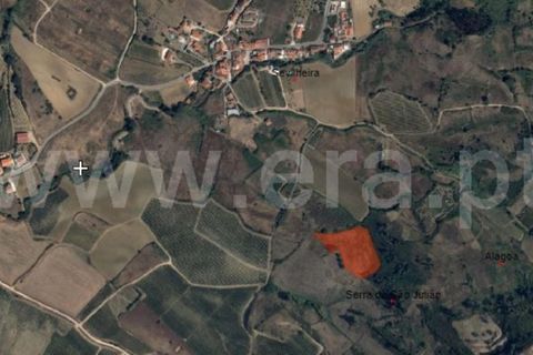 Helårsgrund i Torres Vedras, Lisbon, Torres Vedras - € 25.500 | Ref: 295210003 - foto 3