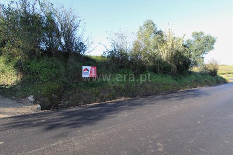 Helårsgrund i Torres Vedras, Lisbon, Torres Vedras - € 30.000 | Ref: 295200162 - foto 2