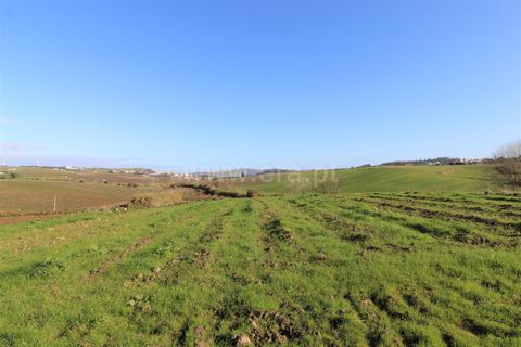 Helårsgrund i Torres Vedras, Lisbon, Torres Vedras - € 30.000 | Ref: 295200162 - foto 7