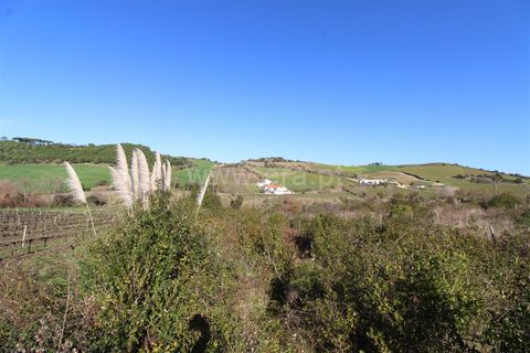 Helårsgrund i Torres Vedras, Lisbon, Torres Vedras - € 15.000 | Ref: 295220014 - foto 2
