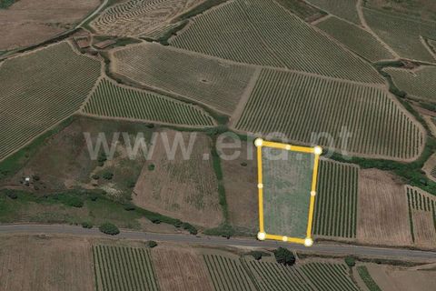 Helårsgrund i Torres Vedras, Lisbon, Torres Vedras - € 15.000 | Ref: 295220014 - foto 5