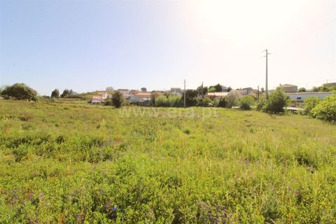 Helårsgrund i Torres Vedras, Lisbon, Torres Vedras - € 280.000 | Ref: 295220067 - foto 5