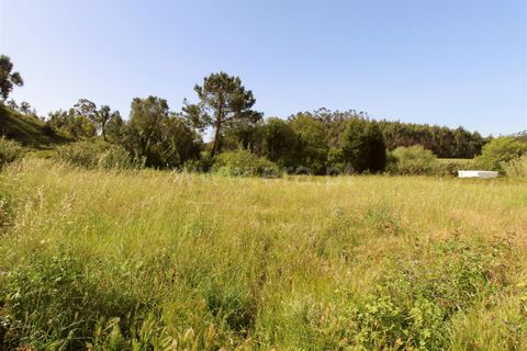 Helårsgrund i Torres Vedras, Lisbon, Torres Vedras - € 160.000 | Ref: 295220066 - foto 4