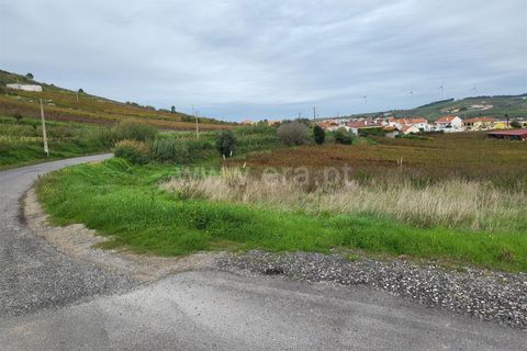 Helårsgrund i Torres Vedras, Lisbon, Torres Vedras - € 88.000 | Ref: 295220165 - foto 4