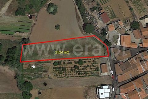 Helårsgrund i Torres Vedras, Lisbon, Torres Vedras - € 49.500 | Ref: 295220160 - foto 2