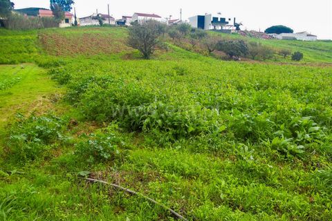 Helårsgrund i Torres Vedras, Lisbon, Torres Vedras - € 49.500 | Ref: 295220160 - foto 4
