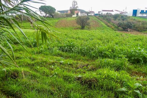 Helårsgrund i Torres Vedras, Lisbon, Torres Vedras - € 49.500 | Ref: 295220160 - foto 5