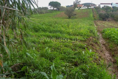 Helårsgrund i Torres Vedras, Lisbon, Torres Vedras - € 49.500 | Ref: 295220160 - foto 6