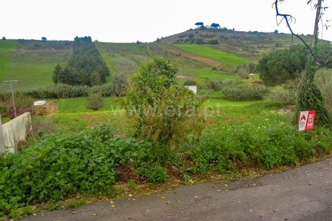 Helårsgrund i Torres Vedras, Lisbon, Torres Vedras - € 49.500 | Ref: 295220160 - foto 8