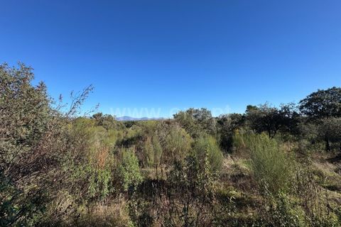 Helårsgrund i Penamacor, Castelo Branco, Penamacor - € 17.500 | Ref: 102250005 - foto 2