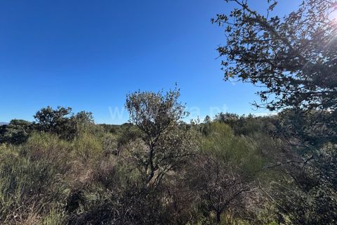 Helårsgrund i Penamacor, Castelo Branco, Penamacor - € 17.500 | Ref: 102250005 - foto 3