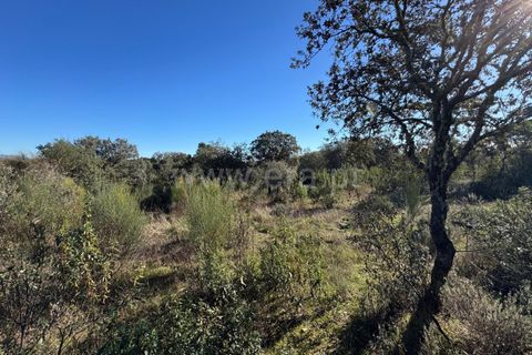 Helårsgrund i Penamacor, Castelo Branco, Penamacor - € 17.500 | Ref: 102250005 - foto 5