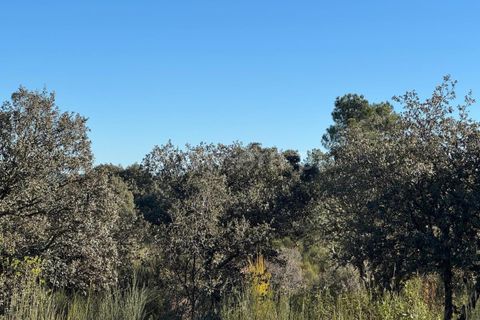 Helårsgrund i Penamacor, Castelo Branco, Penamacor - € 17.500 | Ref: 102250005 - foto 7