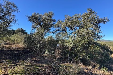 Helårsgrund i Penamacor, Castelo Branco, Penamacor - € 17.500 | Ref: 102250005 - foto 8