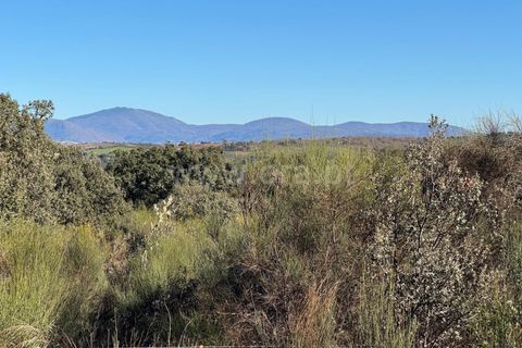 Helårsgrund i Penamacor, Castelo Branco, Penamacor - € 17.500 | Ref: 102250005 - foto 9