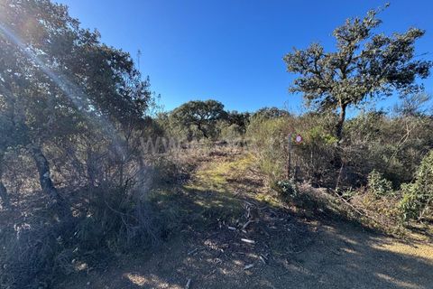 Helårsgrund i Penamacor, Castelo Branco, Penamacor - € 17.500 | Ref: 102250005 - foto 10