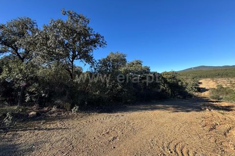 Helårsgrund i Penamacor, Castelo Branco, Penamacor - € 17.500 | Ref: 102250005 - foto 11