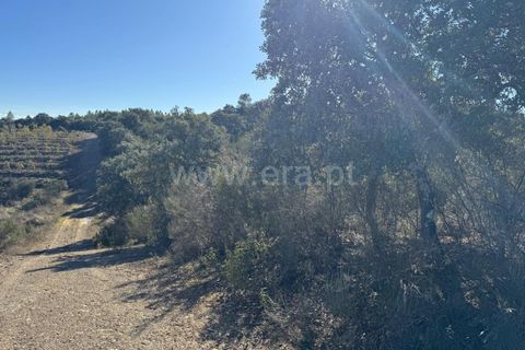 Helårsgrund i Penamacor, Castelo Branco, Penamacor - € 17.500 | Ref: 102250005 - foto 12