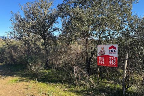Helårsgrund i Penamacor, Castelo Branco, Penamacor - € 17.500 | Ref: 102250005 - foto 13