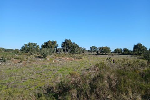 Tomt i Nisa, Portalegre, Nisa - € 37 500 | Ref: 102250004 - foto 2