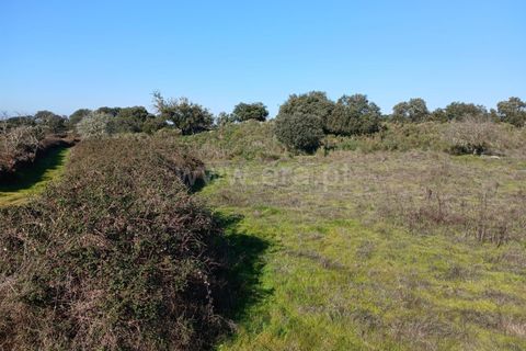 Tomt i Nisa, Portalegre, Nisa - € 37 500 | Ref: 102250004 - foto 3