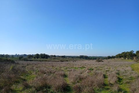 Tomt i Nisa, Portalegre, Nisa - € 37 500 | Ref: 102250004 - foto 7