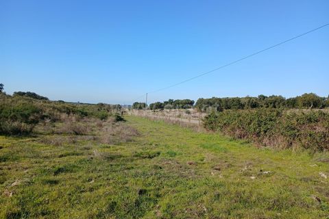 Tomt i Nisa, Portalegre, Nisa - € 37 500 | Ref: 102250004 - foto 10