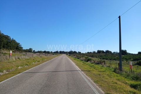 Tomt i Nisa, Portalegre, Nisa - € 37 500 | Ref: 102250004 - foto 11