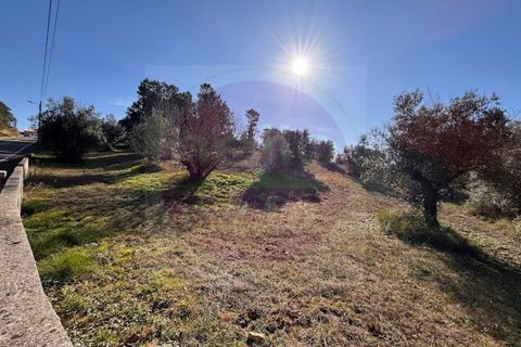 Helårsgrund i Tomar, Santarem, Tomar - € 23.000 | Ref: T 312 - foto 1