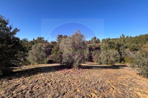 Helårsgrund i Tomar, Santarem, Tomar - € 23.000 | Ref: T 312 - foto 2