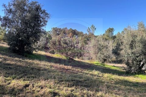 Helårsgrund i Tomar, Santarem, Tomar - € 23.000 | Ref: T 312 - foto 3