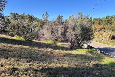 Helårsgrund i Tomar, Santarem, Tomar - € 23.000 | Ref: T 312 - foto 4