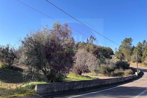 Helårsgrund i Tomar, Santarem, Tomar - € 23.000 | Ref: T 312 - foto 5