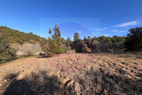 Helårsgrund i Tomar, Santarem, Tomar - € 23.000 | Ref: T 312 - foto 6